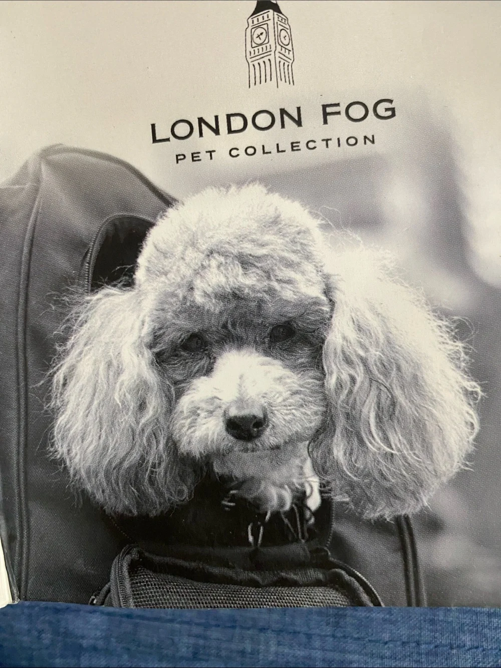 London Fog london fog